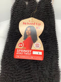 X-PRESSION SPRINGY AFRO TWIST
